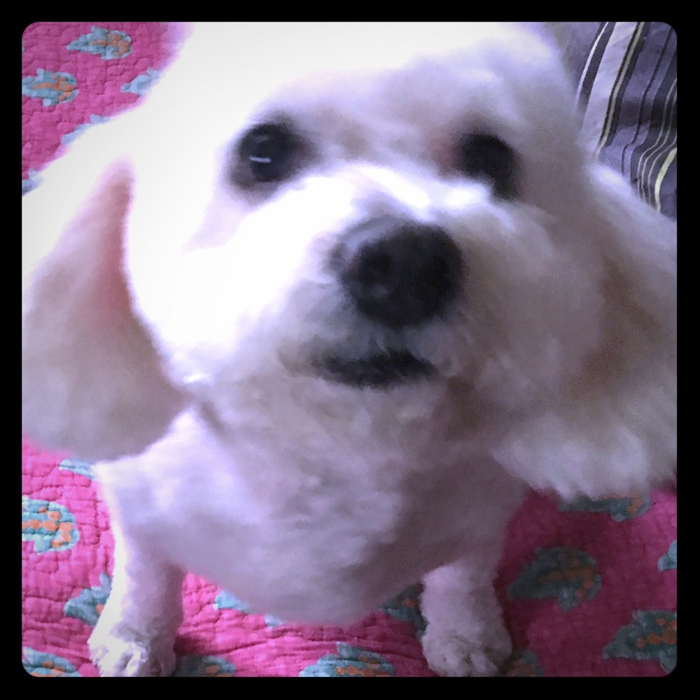 My Baby Girl Sending ❤️LOV❤️❤️⭐️❤️❤️❤️